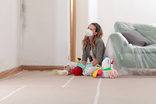 Reliable Mold Remediation contractor in Welcome, NC by 24 Hour Mold Removal